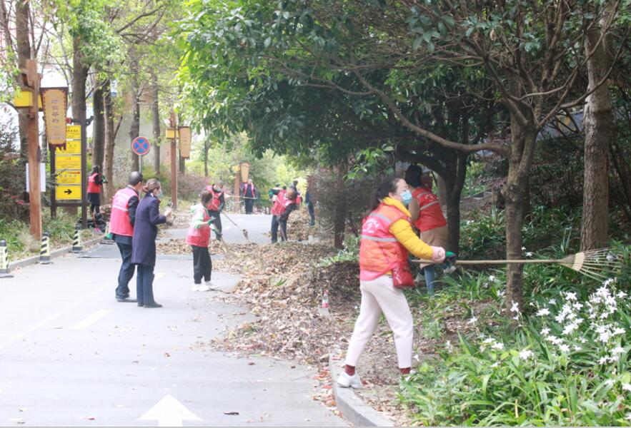 QQ截图20210331175024 QQ截图20210331175024