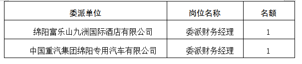 委派财务经理7.12