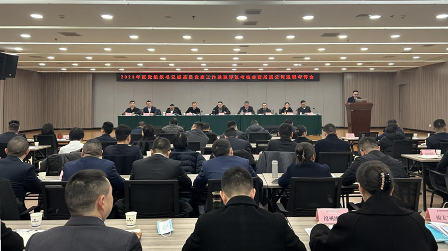 PA真人官网集团党委召开2023年党组织书记抓基层党建述职评议会